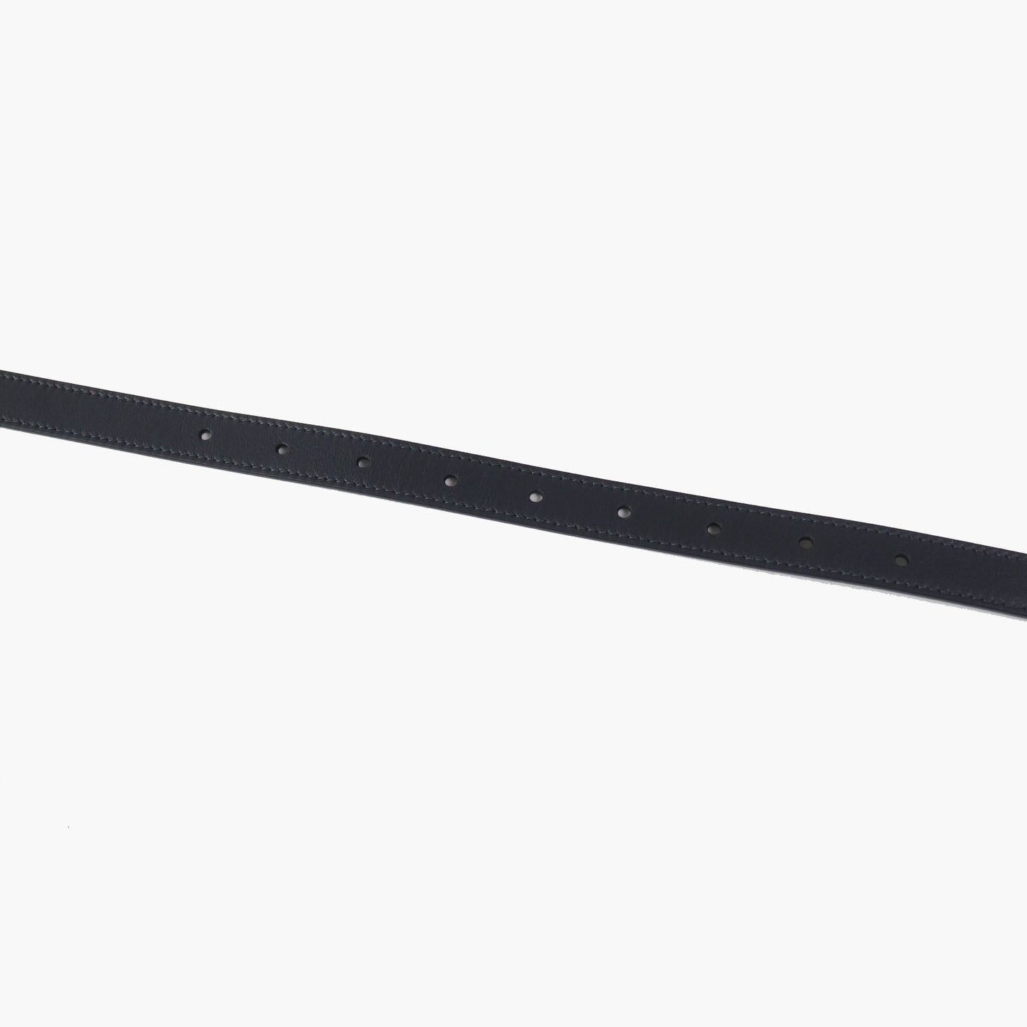 CHRISTIAN DIOR Waist Bag Maria Grazia Chiuri ā 2022 ā 100% Authentic