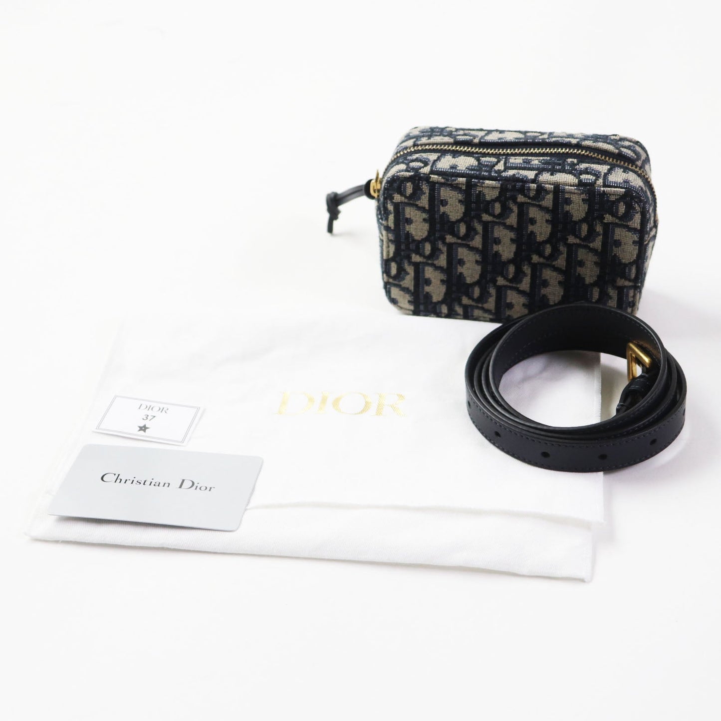 CHRISTIAN DIOR Waist Bag  Maria Grazia Chiuri – 2022 – 100% Authentic