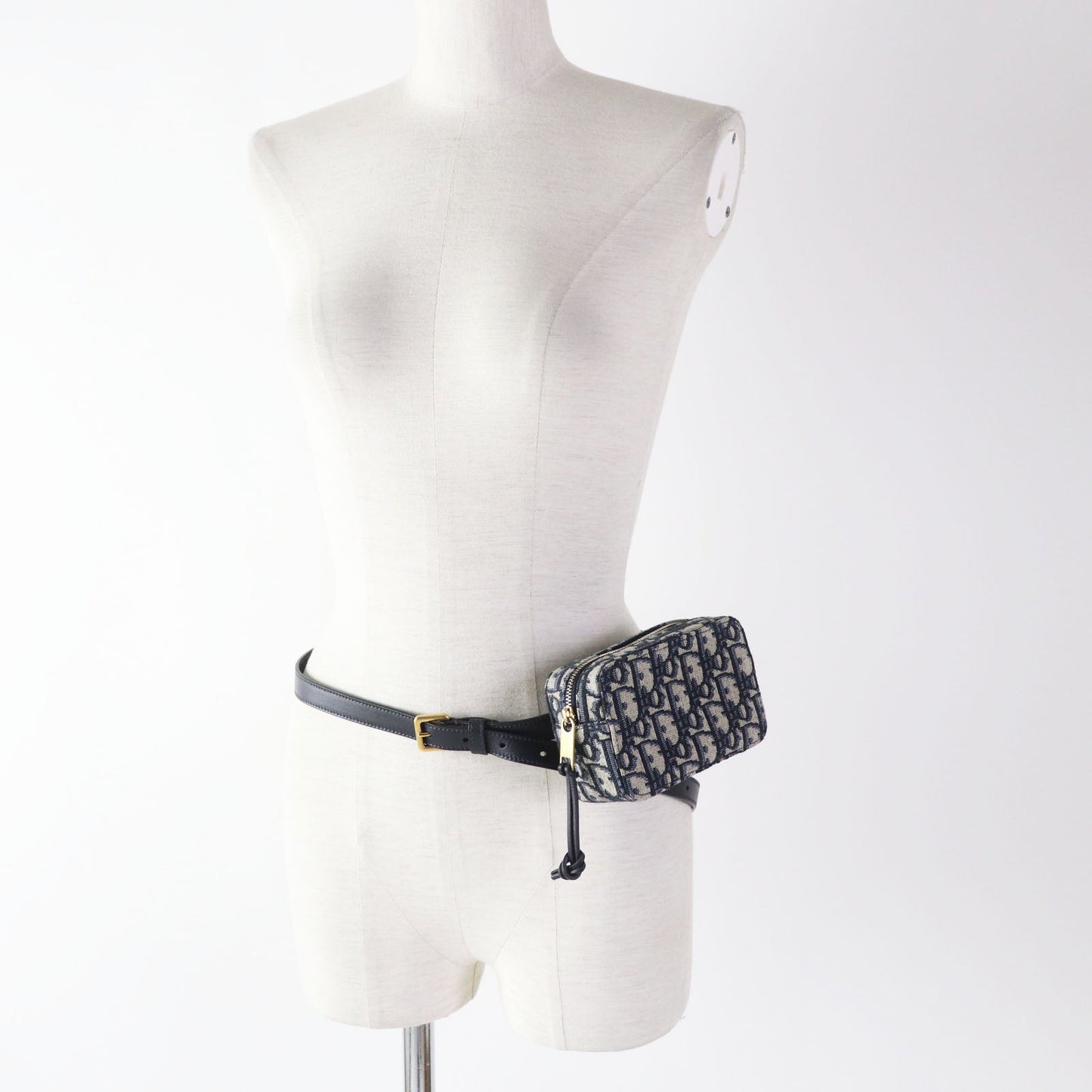 CHRISTIAN DIOR Waist Bag  Maria Grazia Chiuri – 2022 – 100% Authentic