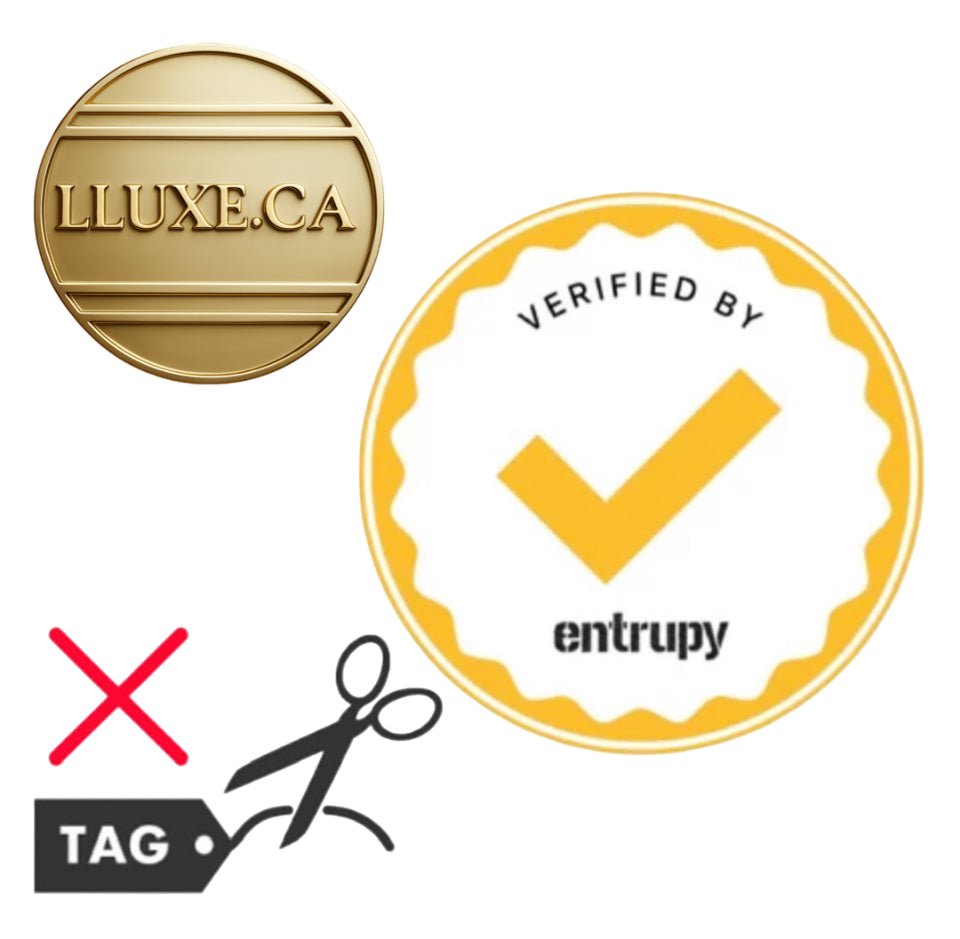 Christian Dior  – Trotter Crossbody