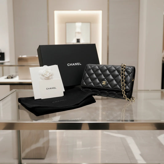 CHANEL – Shoulder Bag – Matrasse Chain Wallet COCO Mark Classic – Karl Lagerfeld – 2019 – 100% Authentic Pre - Owned - LLUXE.CA